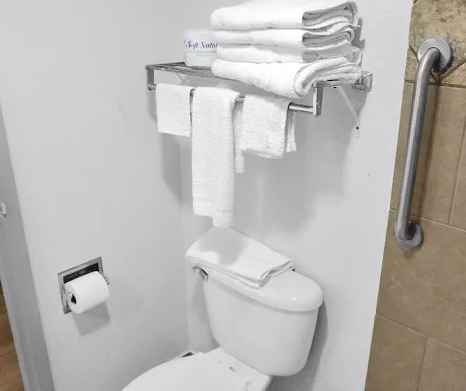 בית מלון כפרי Econo Lodge Carlsbad Caverns Area