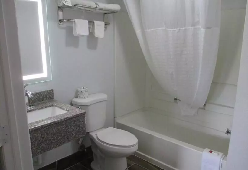 호텔 Plum Tree Inn