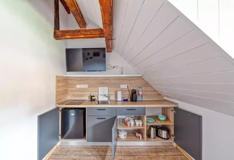 پانسیون T House