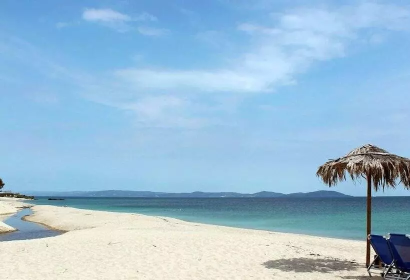 Despotiko Apartment Hotel & Suites