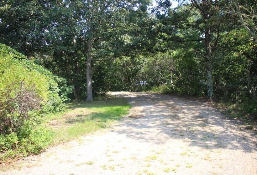 Gorgeous 3bd/2ba Vacation House In The Vineyard