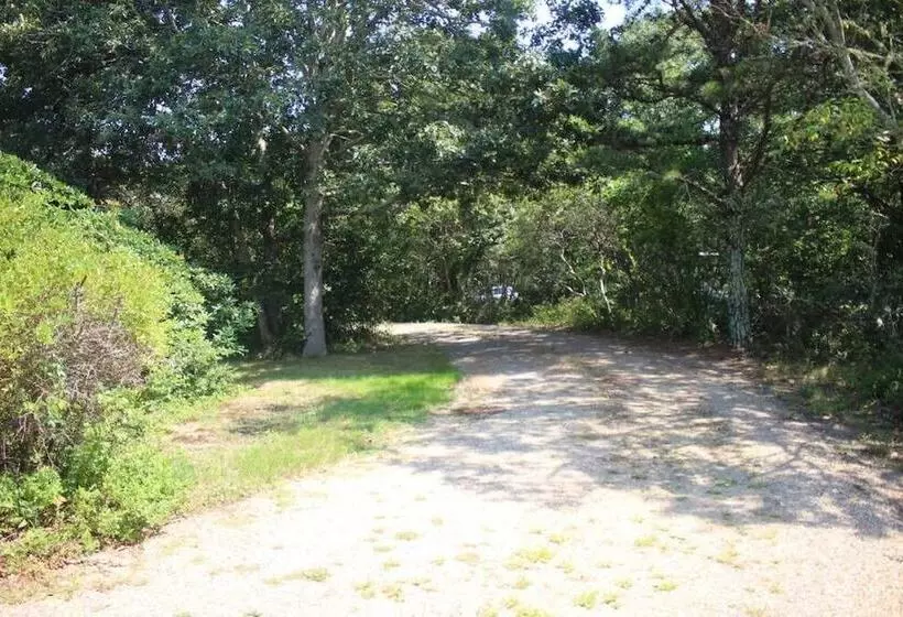 Gorgeous 3bd/2ba Vacation House In The Vineyard