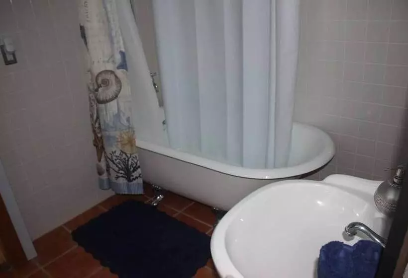 Gorgeous 3bd/2ba Vacation House In The Vineyard