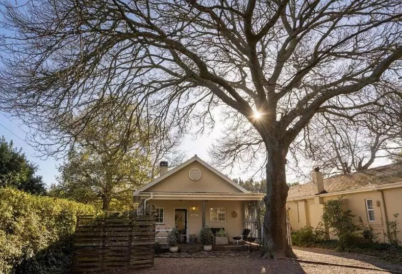 ホテル Belfield Wines And Farm Cottages