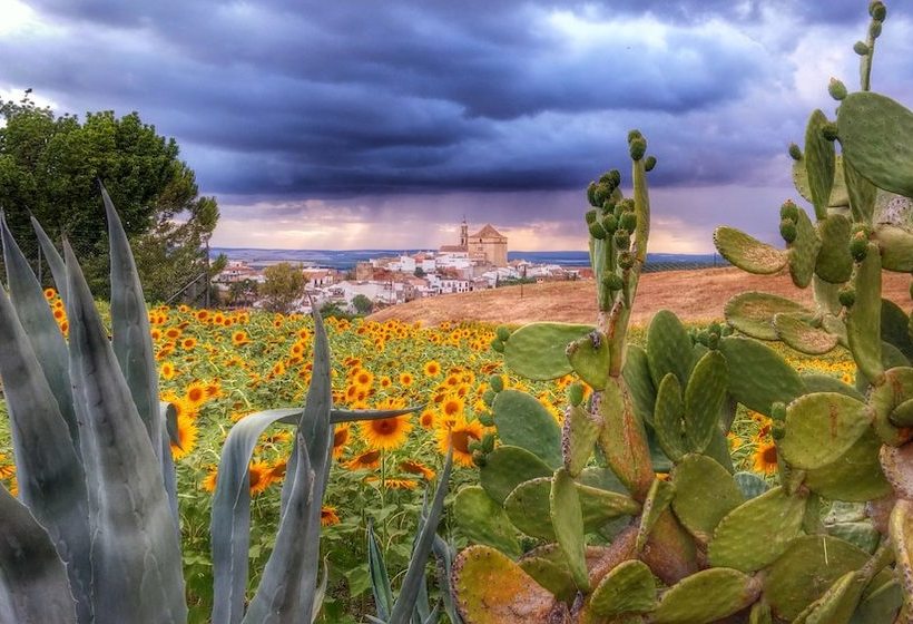 La Casa Del Corregidor