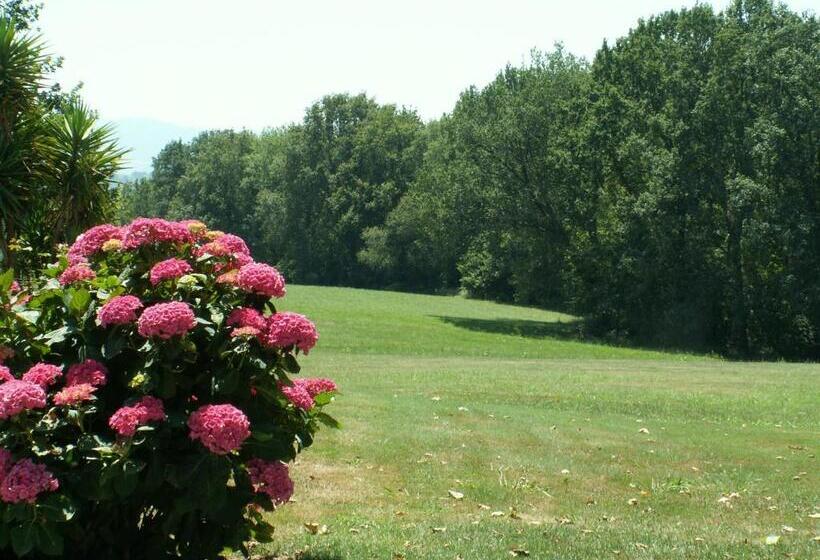 פנסיון Bidachuna