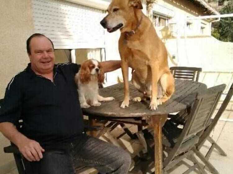 بنسيون La Meridienne