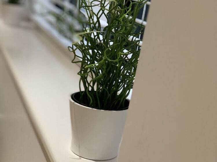 Riis Apartments Camberley