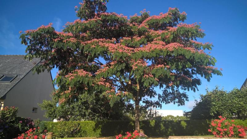 צימר Chambre Dans Une Maison Pleine De Vie