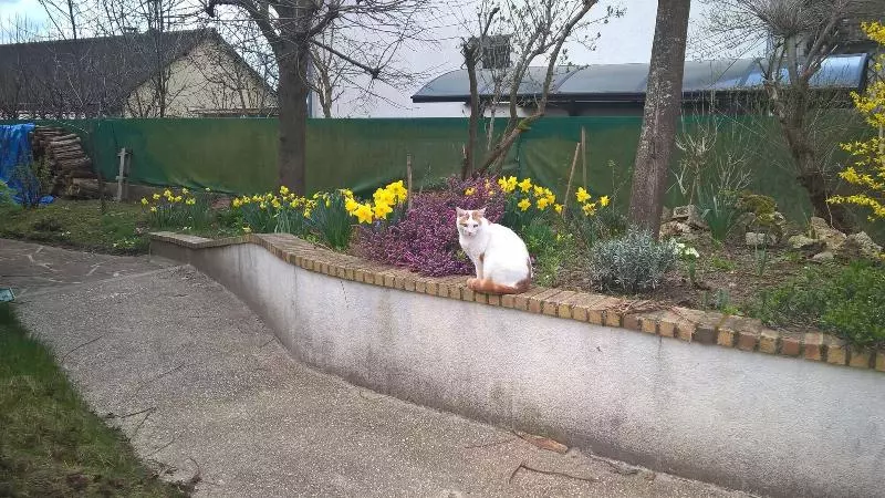 Aamiaismajoitus (B&B) Chambre Dans Une Maison Pleine De Vie