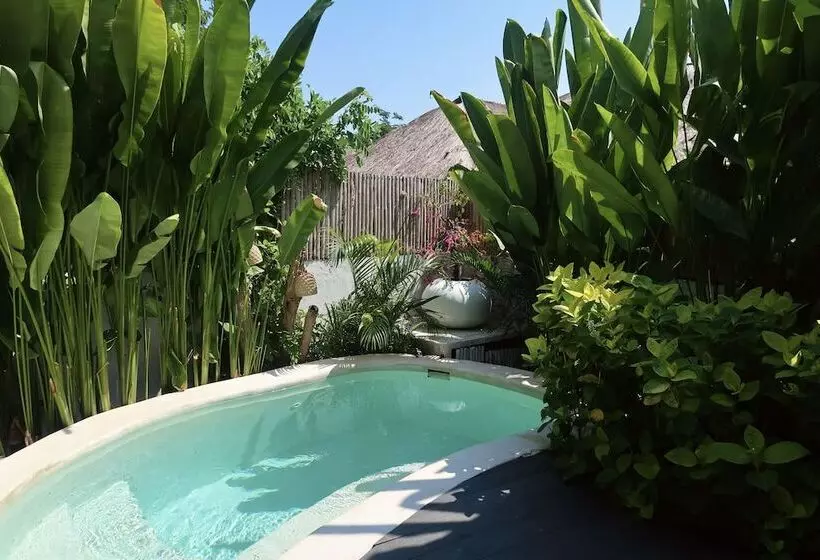 تختخواب و صبحانه The Garden Shacks At Sandy Bay