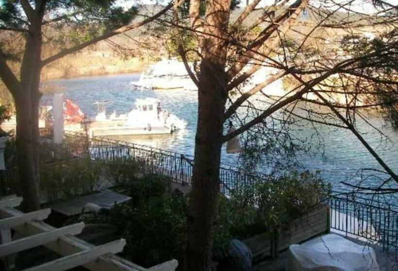 Maison Charmante A Cogolin + Piscine