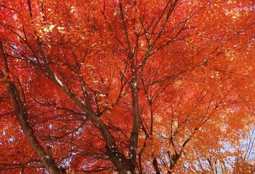 Majatalo Gasthof Ascot