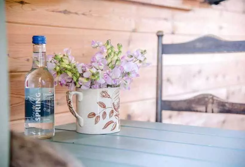 Abbey Shepherds Hut, Eye