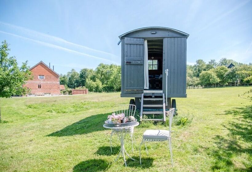 Abbey Shepherds Hut, Eye