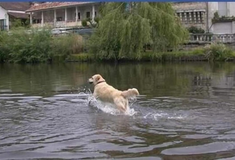 تختخواب و صبحانه Villa Medicis