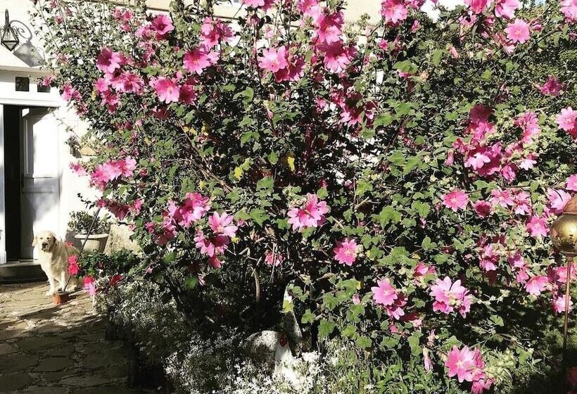 تختخواب و صبحانه Villa Medicis