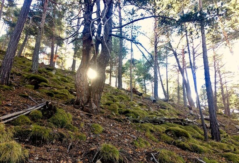 Отель Camping Aigües Braves