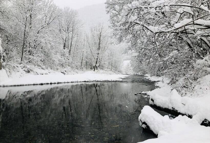 Отель Camping Aigües Braves