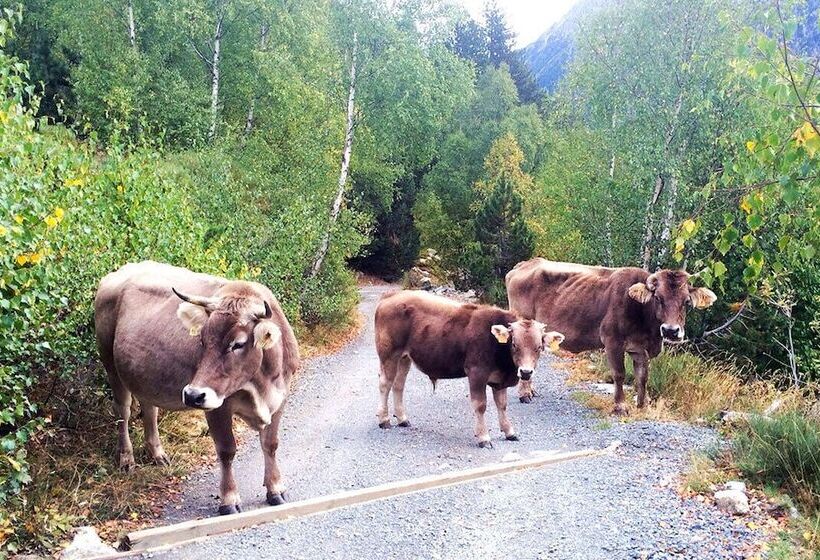 Отель Camping Aigües Braves