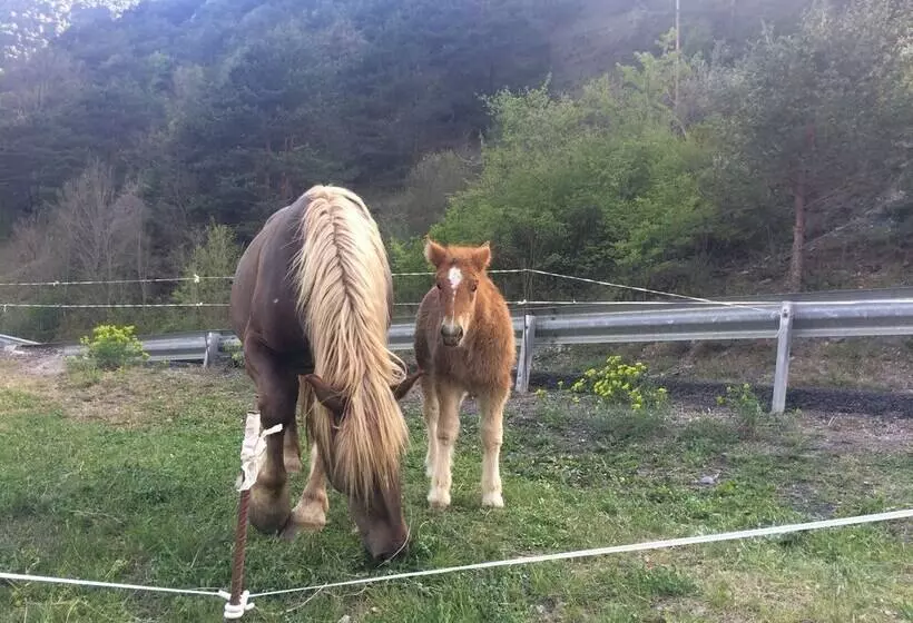 هتل Camping Aigües Braves