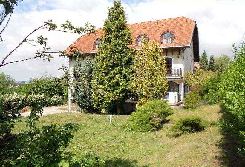 ペンション Peregrino Panzio