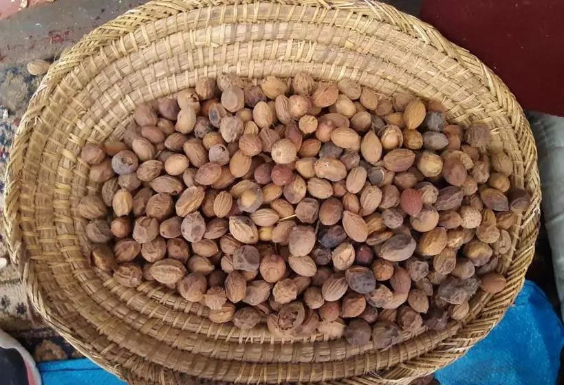 Retkeilymaja Restaurant Kasbah Telouet