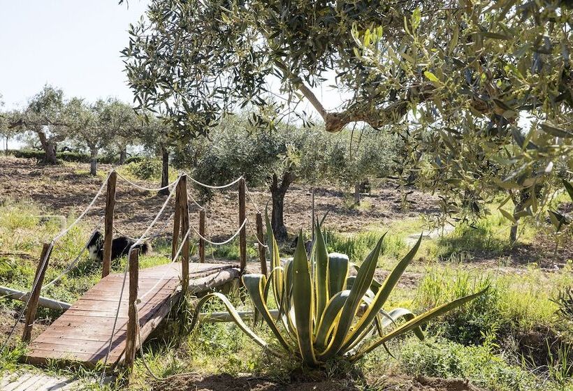 فندق ريفى Agriturismo Baglio Vecchio