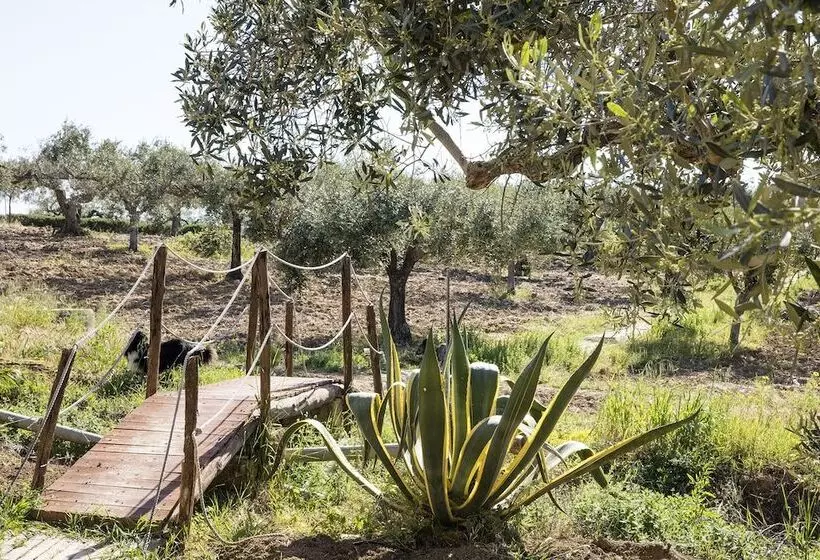 田舎風ホテル Agriturismo Baglio Vecchio