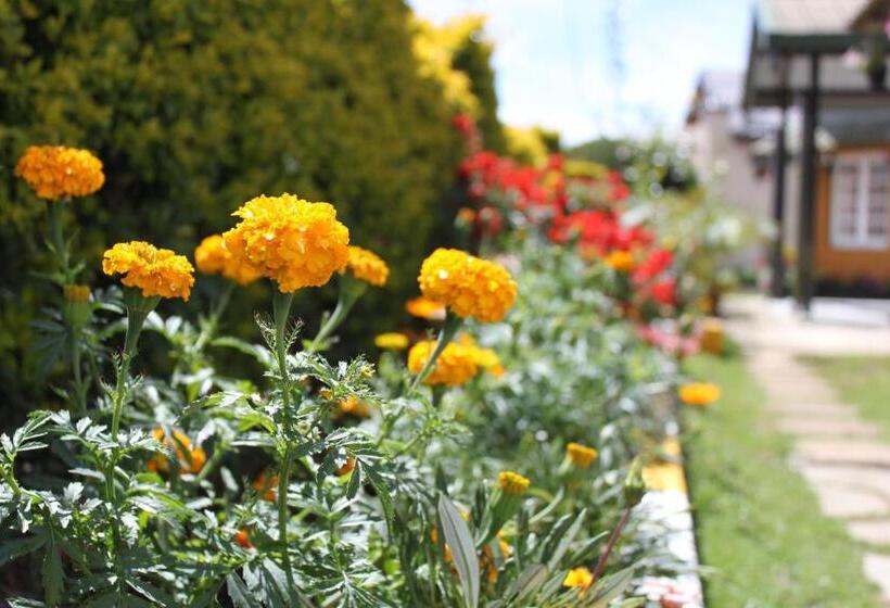 בית מלון כפרי Lady Horton Bungalow