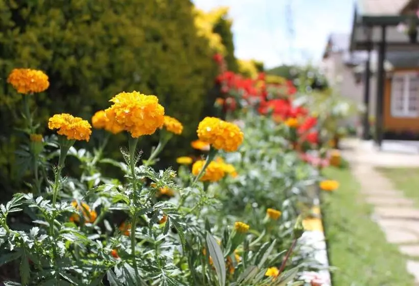 Hotelli Lady Horton Bungalow