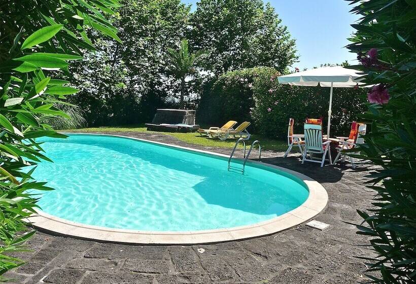 Отель Solar De Lalém