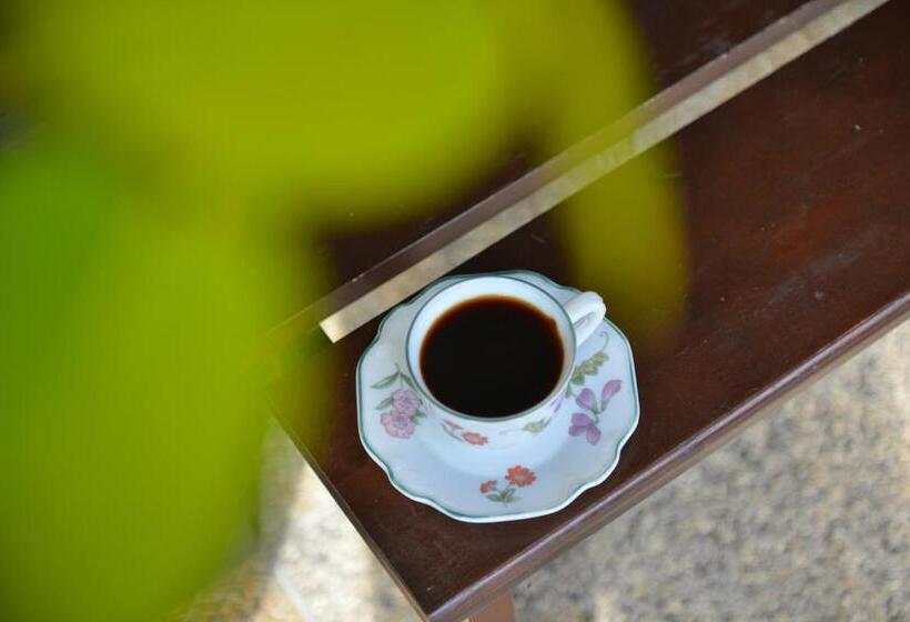 هتل The River Scene