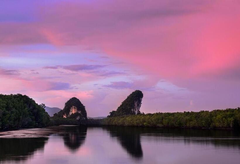 هتل The River Scene