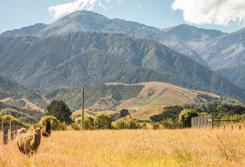 فندق Awatea Country Bed & Breakfast