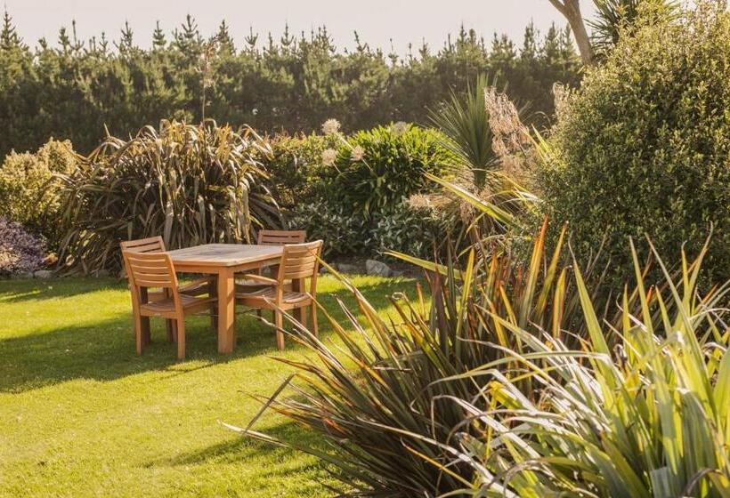 فندق Awatea Country Bed & Breakfast