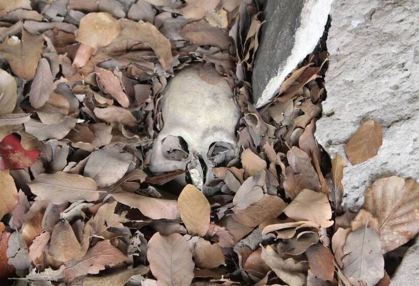 호텔 Paraiso Del Oso