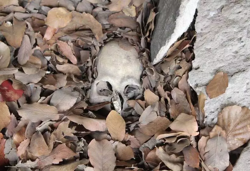 Hotelli Paraiso Del Oso