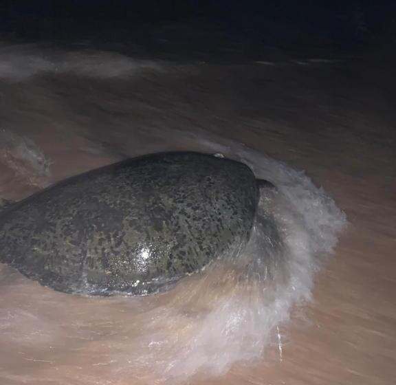 بنسيون Mirage Beach House At Morava Court