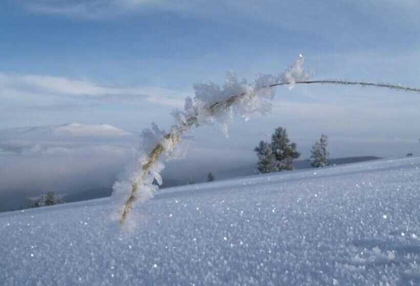 Sarikamis Kayi Snow Otel