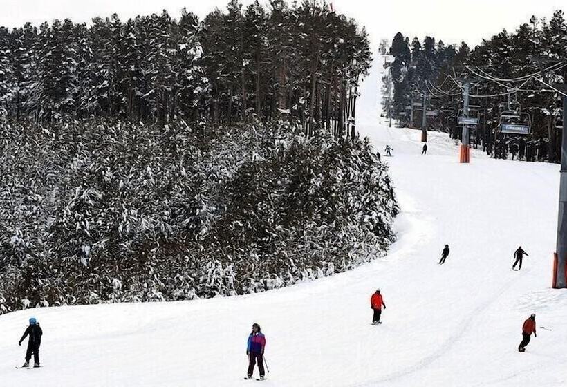 Sarikamis Kayi Snow Otel