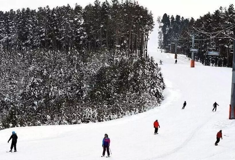 Sarikamis Kayi Snow Otel