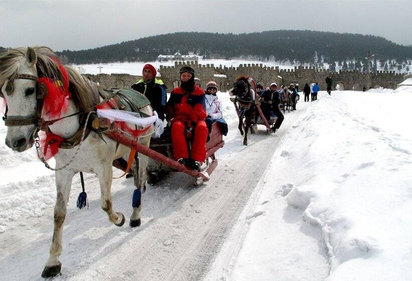 Sarikamis Kayi Snow Otel