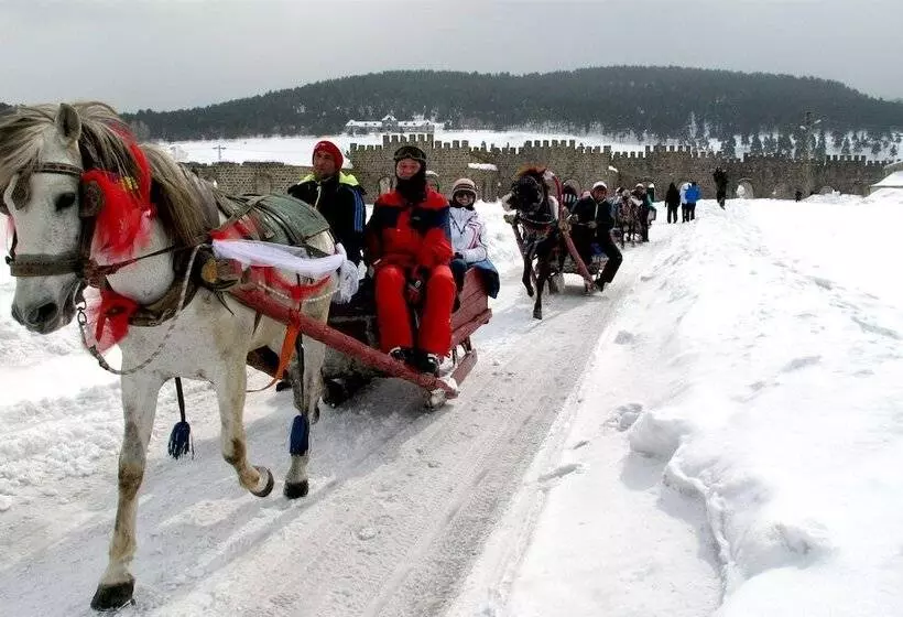 Sarikamis Kayi Snow Otel