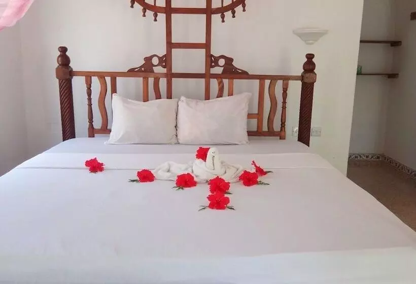 Majatalo Ames Nungwi