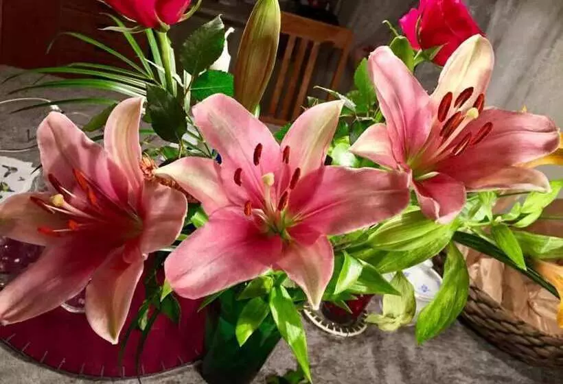 Fishermans Cottage. Open For Bookings