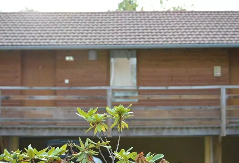 ホテル Restaurant Du Midi