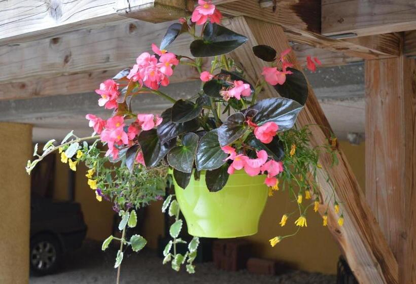 Hotel Restaurant Du Midi