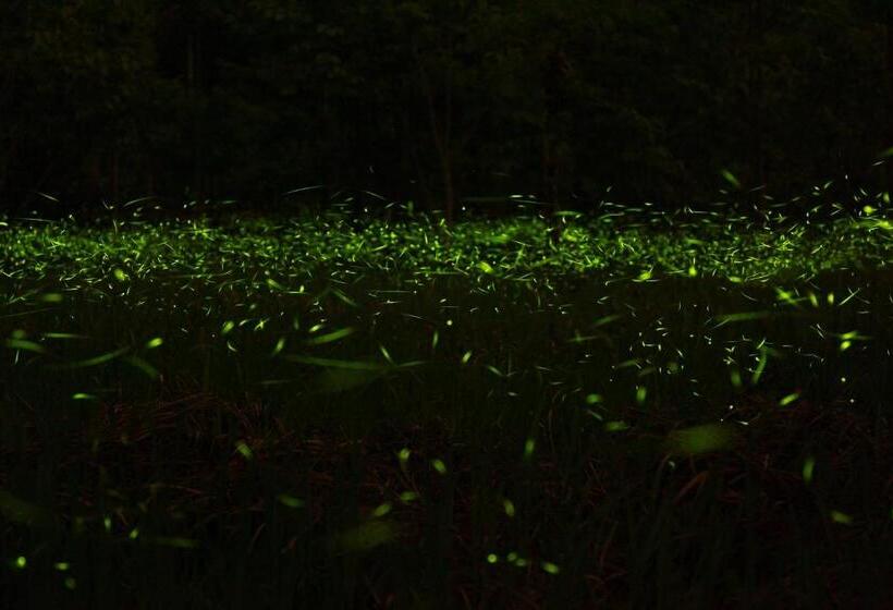 هتل Yeashow Villa