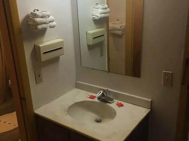 فندق Grapevine Inn